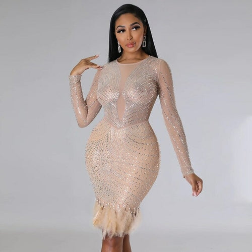 Black Nude Mesh Rhinestone Feather See Through Dresses