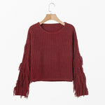 Women Fringe Sleeves Loose Knitted Sweater