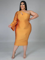 Curvy Elegant One Shoulder Long Sleeve Dress