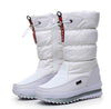 Women  Platform Winter  Thick Plush Waterproof Non-Slip Winter Boots